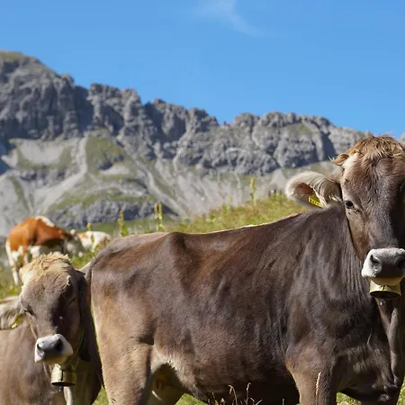 Appart Arlberg